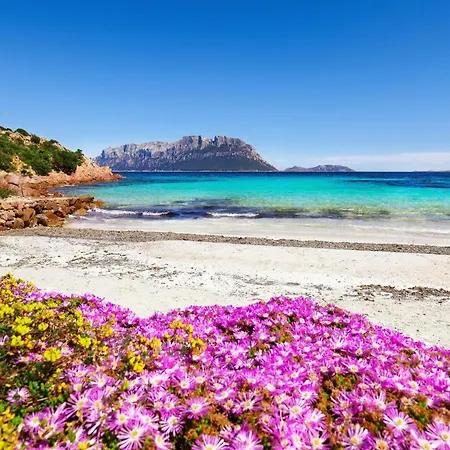 Casa Miro Few Minutes From The Sea - Happy * Olbia